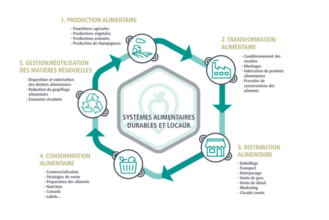 Schema Sustainable and Local Food Systems